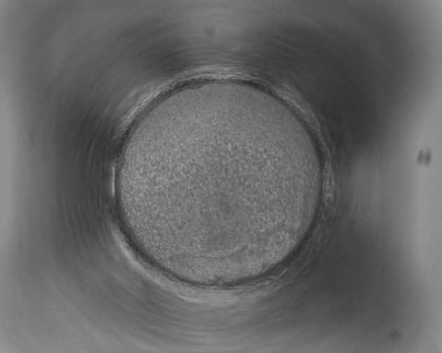 X0000115070014200911171140