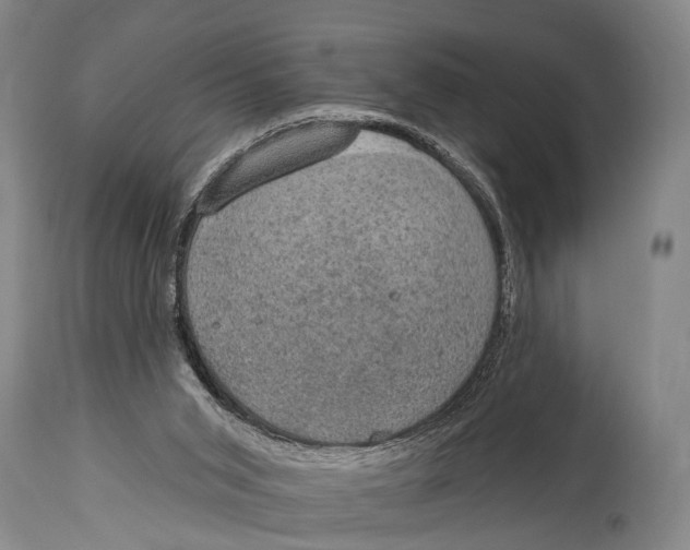 X0000115070015200911171140