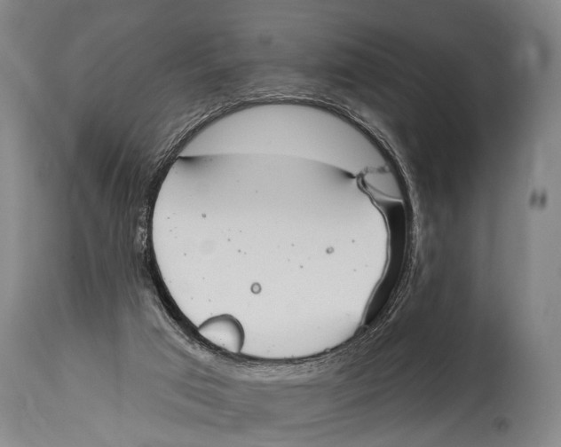 X0000115070017200911171140