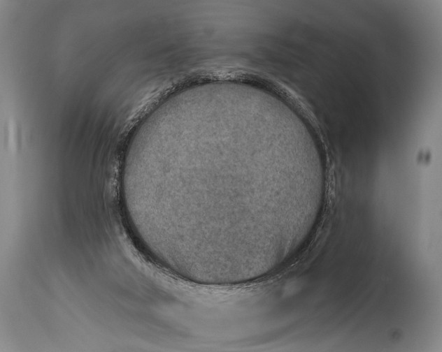 X0000115070018200911171140