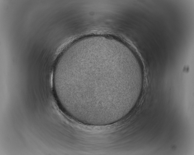 X0000115070019200911171140