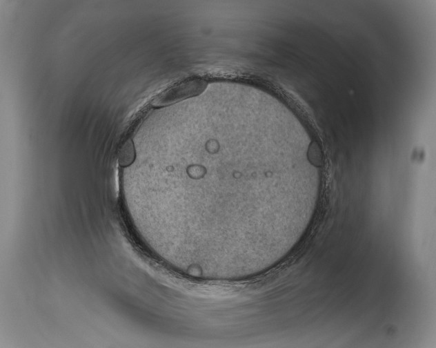 X0000115070020200911171140