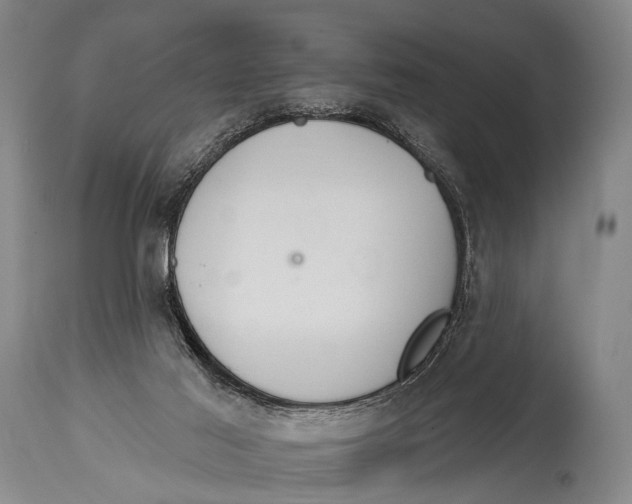 X0000115070021200911171140