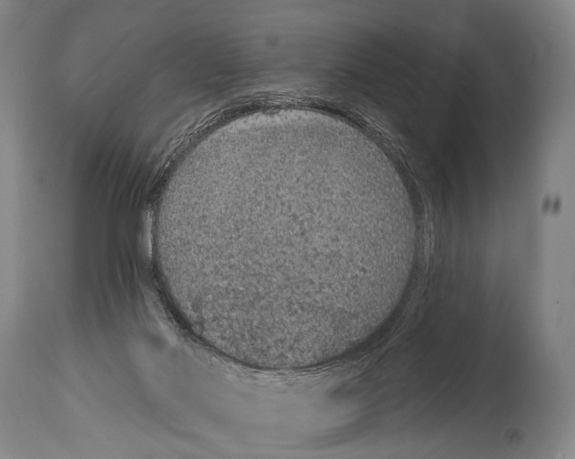 X0000115070022200911171140