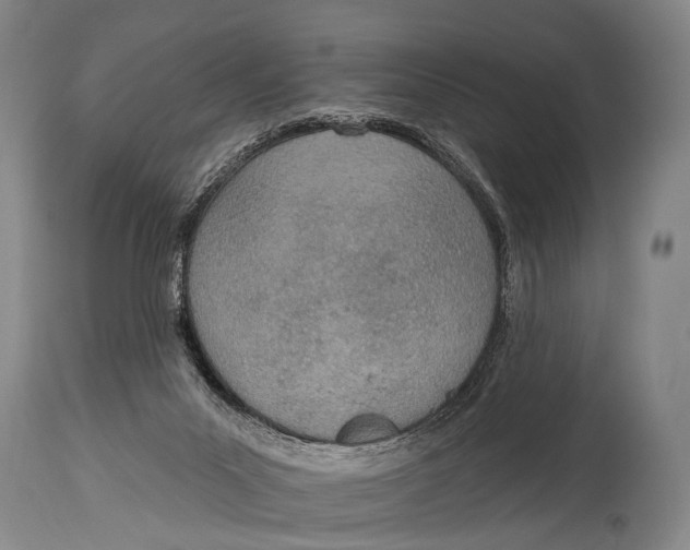 X0000115070023200911171140