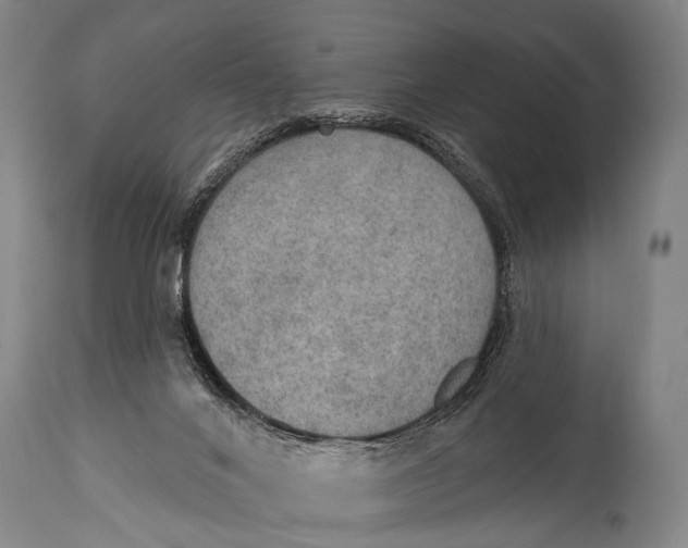 X0000115070024200911171140