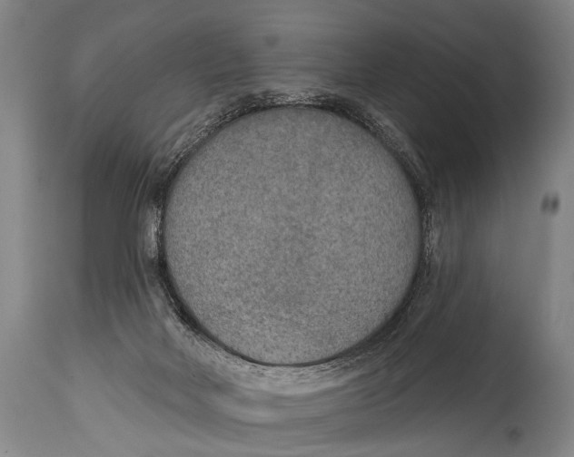 X0000115070026200911171140