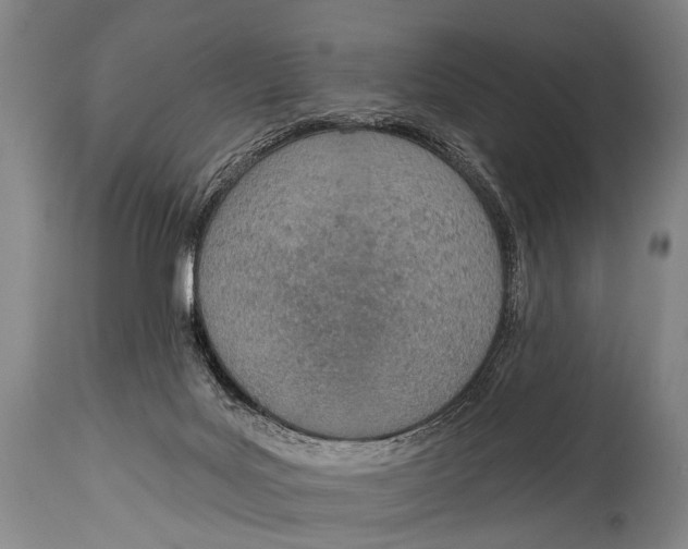X0000115070027200911171140