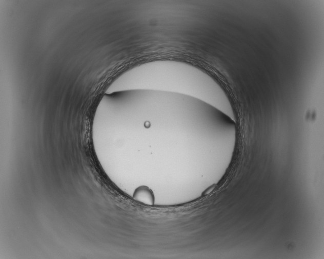 X0000115070029200911171140