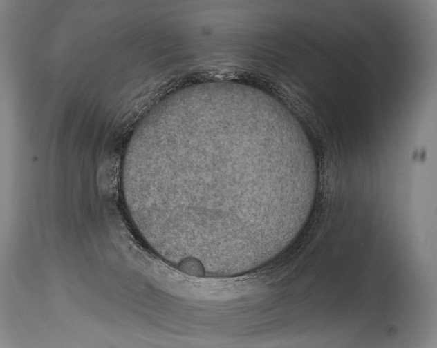 X0000115070030200911171140