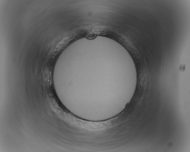 X0000115070031200911171140