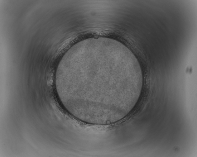 X0000115070032200911171140
