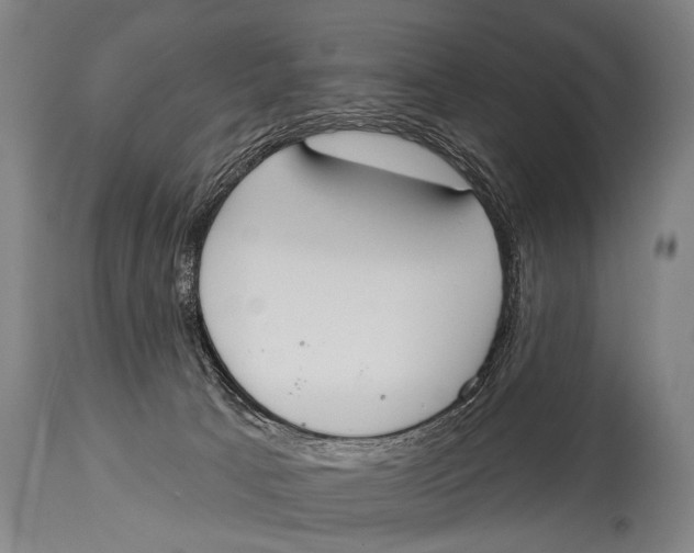 X0000115070033200911171140