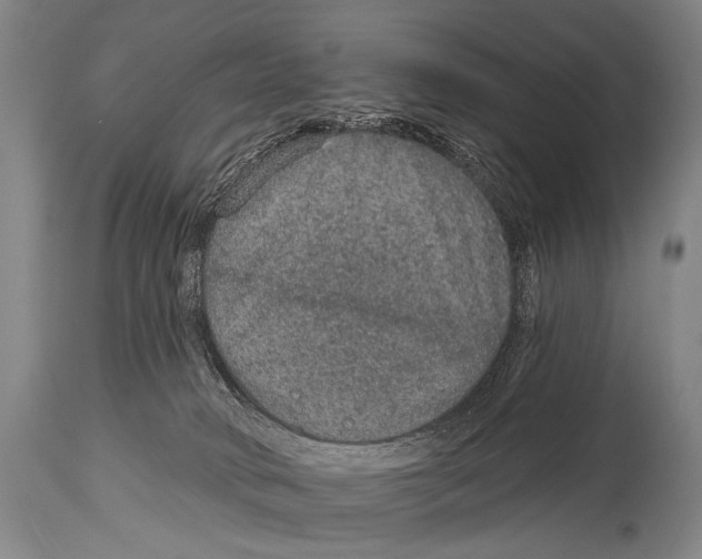 X0000115070034200911171140
