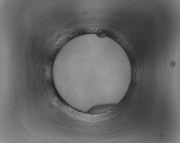 X0000115070035200911171140