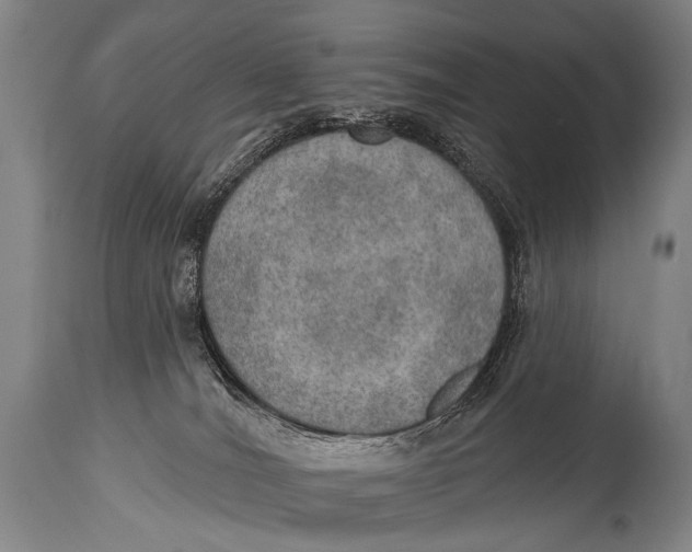 X0000115070036200911171140