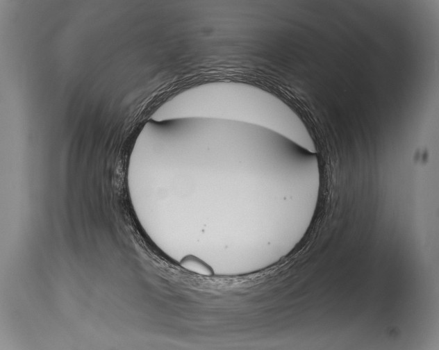 X0000115070037200911171140
