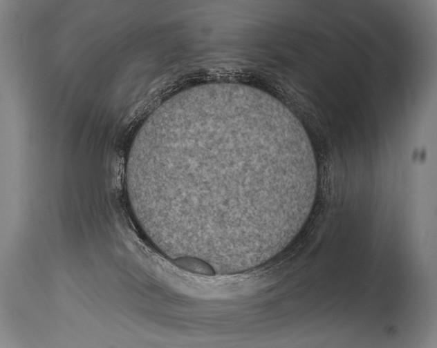 X0000115070038200911171140