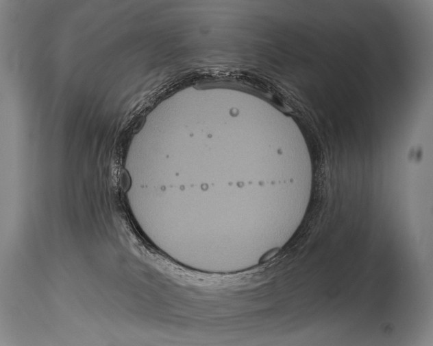 X0000115070039200911171140