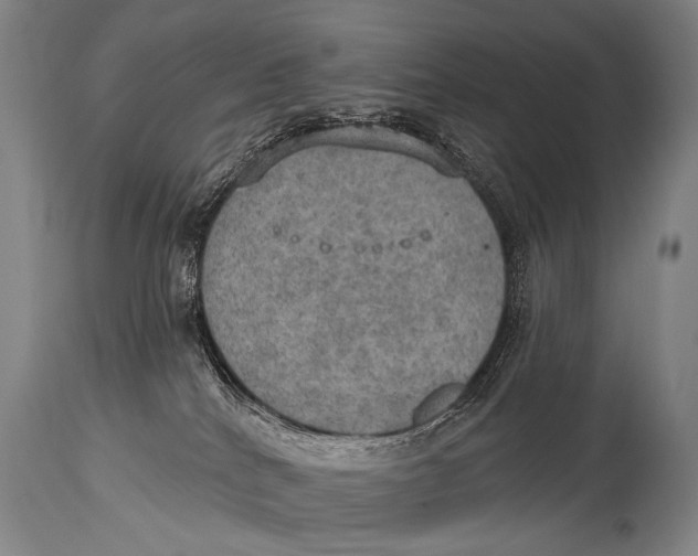 X0000115070040200911171140