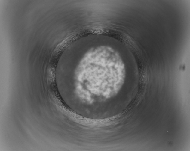 X0000115070043200911171140