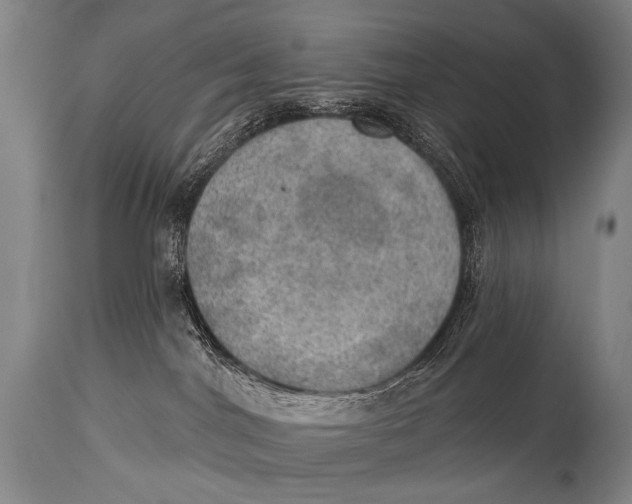 X0000115070044200911171140