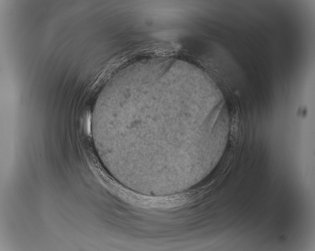 X0000115070046200911171140