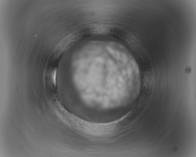X0000115070047200911171140