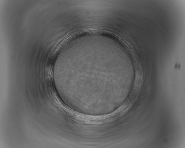 X0000115070048200911171140