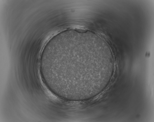 X0000115070049200911171139