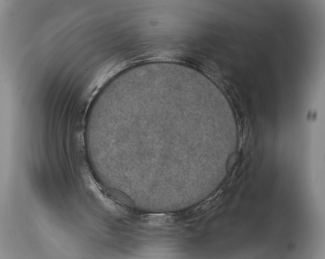 X0000115070050200911171139