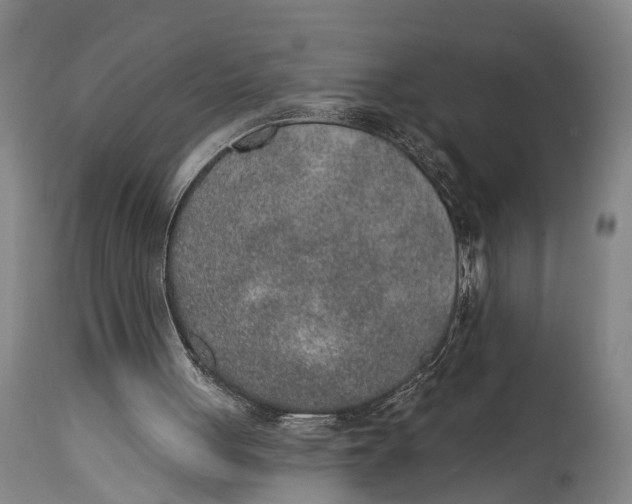 X0000115070051200911171139