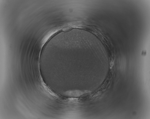 X0000115070052200911171139