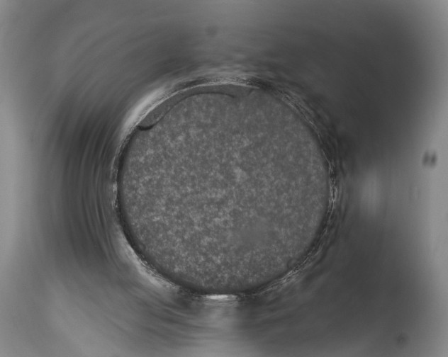 X0000115070053200911171139