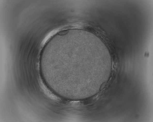 X0000115070054200911171139