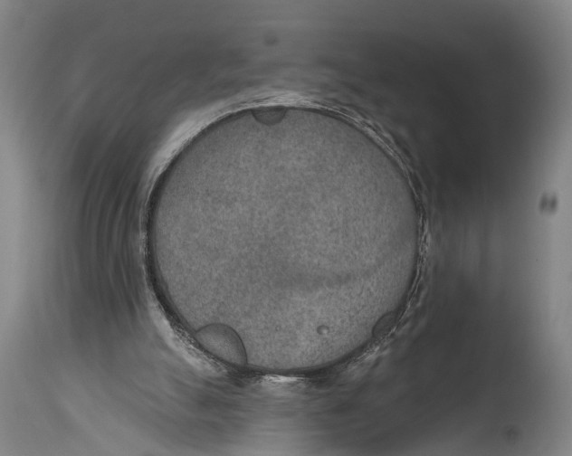 X0000115070055200911171139