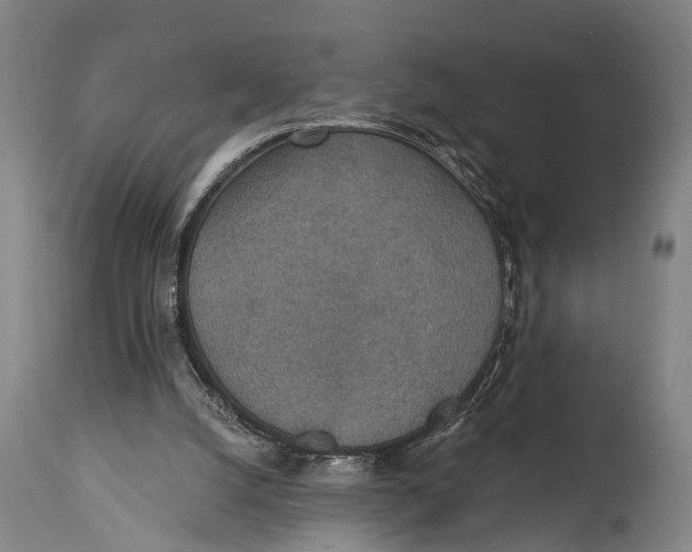 X0000115070056200911171139