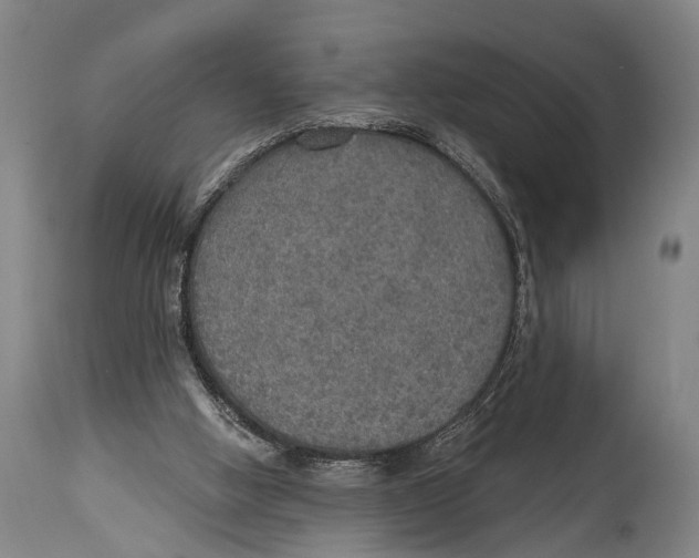 X0000115070058200911171139