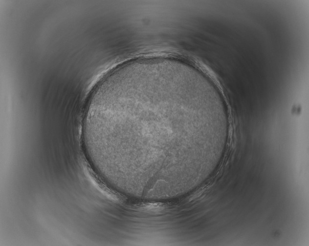 X0000115070059200911171139
