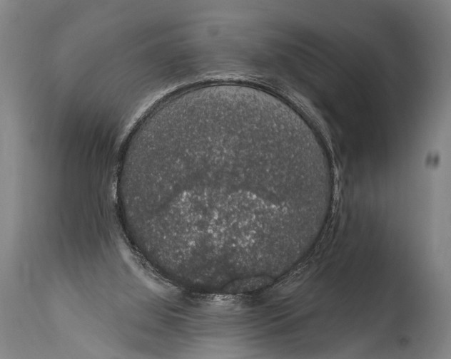 X0000115070060200911171139