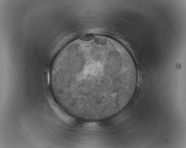 X0000115070061200911171139
