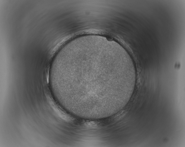 X0000115070062200911171140
