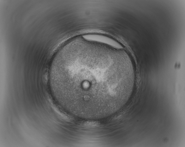 X0000115070063200911171140
