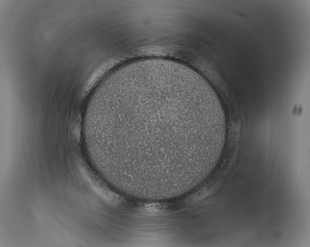 X0000115070064200911171140