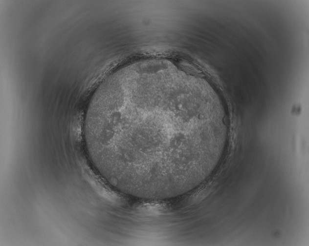 X0000115070065200911171140
