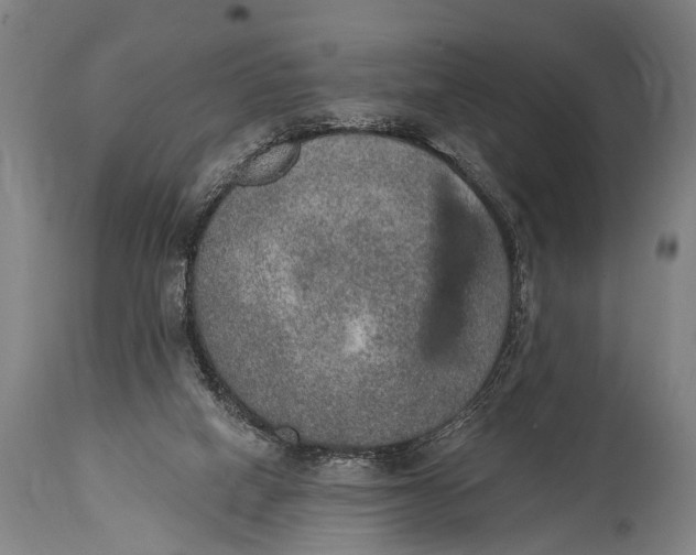 X0000115070066200911171140