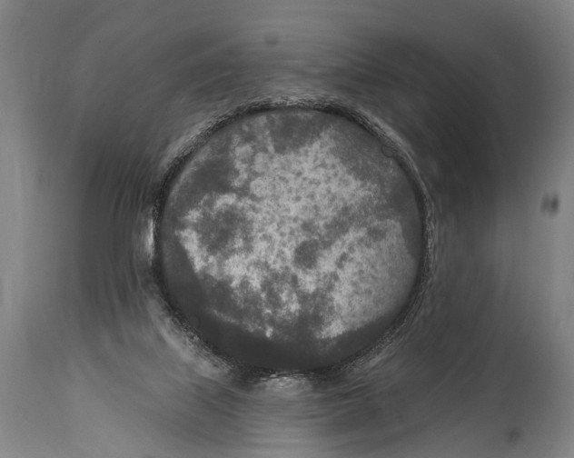 X0000115070067200911171140