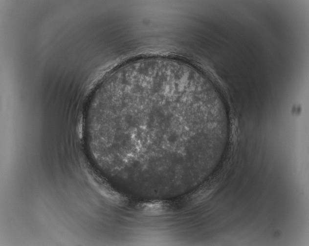 X0000115070068200911171140