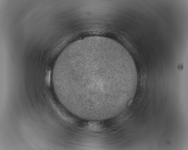 X0000115070070200911171140