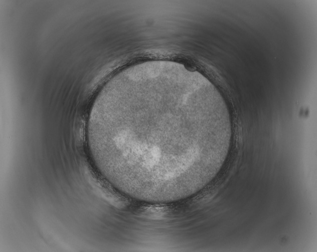 X0000115070071200911171140